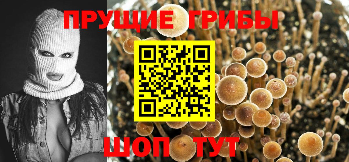 закладка  Вход с VPN  Электросталь  Галлюциногенные грибы Magic Shrooms 